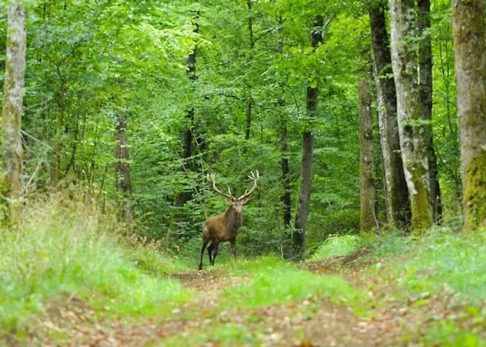 Frans Dorpshuisje Maison Gerard Διαμέρισμα Champsevraine